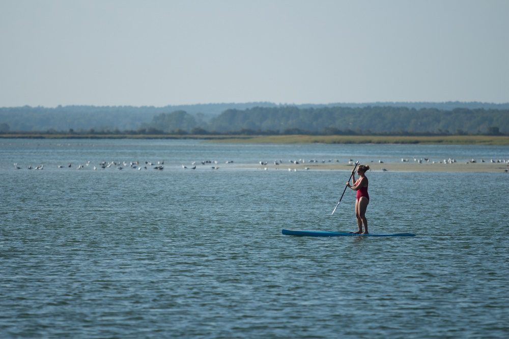 paddle board